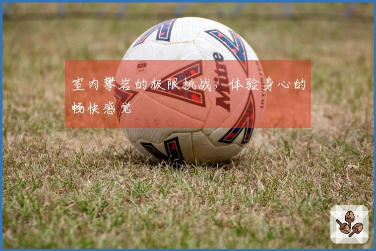 室内攀岩的极限挑战，体验身心的畅快感觉